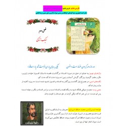 جزوه معنی و نکات دستوری فارسی هشتم